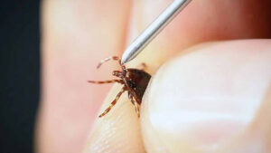 haber-gorseli-1786536538116